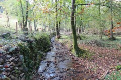 7.-Flowing-beteween-Higher-Durborough-Plantation-and-Aisholt-Common-10