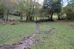 7.-Flowing-beteween-Higher-Durborough-Plantation-and-Aisholt-Common-18