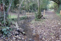 7.-Flowing-beteween-Higher-Durborough-Plantation-and-Aisholt-Common-2