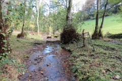 7.-Flowing-beteween-Higher-Durborough-Plantation-and-Aisholt-Common-8