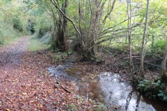 8.-Upstream-from-Durborough-Farm-1