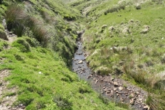 14. Flowing to Furzehill (1)