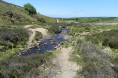 17. Upstream from Furzehill (1)