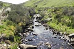 17. Upstream from Furzehill (2)