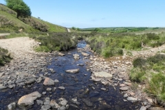 17. Upstream from Furzehill (3)