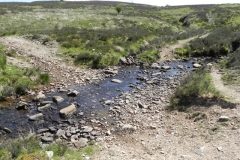 17. Upstream from Furzehill (4)