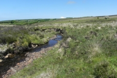 17. Upstream from Furzehill (6)