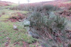 A. Source to Lady's Combe
