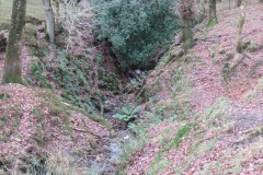 3.-Looking-downstream-from-source
