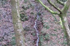 4.-Rivulet-joins