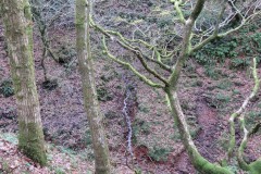4a.-Rivulet-joins