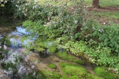 9.-Downstream-from-Brewers-Arms-3