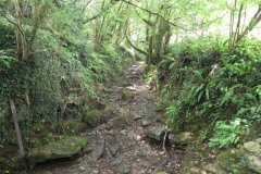 23.-Looking-downstream-from-weir