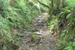 24.-Looking-downstream-from-weir