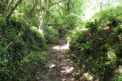 25.-Dry-river-bed-downstream-from-weir