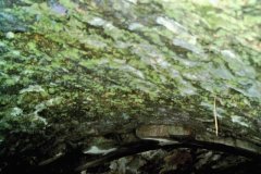 19.-Higher-Alham-Old-Bridge-Soffit