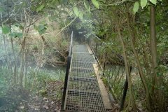 39.-Westcombe-Wood-Footbridge