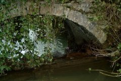 43.-Westcombe-Wood-Bridge-Upstream-Middle-Arch