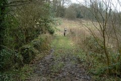 44.-Westcombe-Wood-Bridge