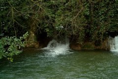 47.-Westcombe-Wood-Bridge-Downstream-Face