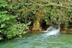 50.-Westcombe-Wood-Bridge-Downstream-Face