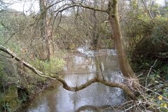 59.-Down-Stream-View-Church-Bridge-Westcombe