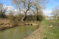 49.-Westmoor-Bridge-downstream-face