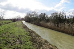 53.-Upstream-from-Westmoor-Bridge-2