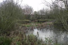 10.-Footbridge-over-Ponds-in-Cannwood