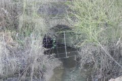11.-Great-West-Barn-Farm-Rail-Bridge-Downstream-Arch