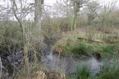 11.-Ponds-in-Cannwood