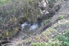 13.-Downstream-from-Great-West-Barn-Farm-Rail-Bridge