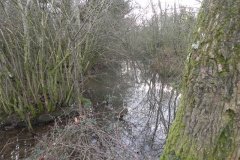 15.-Ponds-in-Cannwood