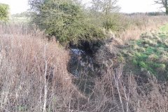 15.-Upstream-from-Kerry-Croft-Accomodation-Bridge