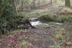 17.-Footbridge-over-Pond-drain-in-Cannwood
