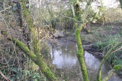 18.-Downstream-from-Kerry-Croft-Accomodation-Bridge