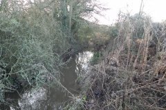 19.-Upstream-from-Seymour-Arms-Bridge