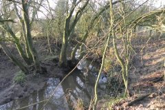 2.-Downstream-from-Lower-West-Barn-Farm-Rail-Bridge