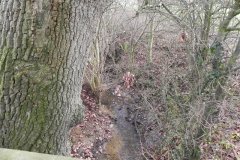 20.-Pond-drain-running-to-Woods-Farm
