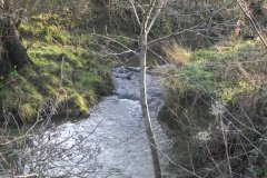 21.-Upstream-from-Seymour-Arms-Bridge