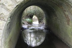 32.-Bindon-Lane-Bridge-upstream-arch