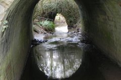 33.-Bindon-Lane-Bridge-upstream-arch