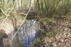 6.-Drain-between-ponds-in-Cannwood