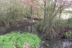 7.-Ponds-in-Cannwood
