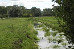 16.-Looking-upstream-from-Hulk-Moor-Drove-Bridge
