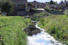 2.Looking-upstream-to-Bowling-Green-Cut