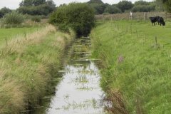 23.-Looking-downstream-from-Hulk-Moor-Drove-Bridge