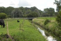 25.-Looking-upstream-to-Hulk-Moor-Drove-Bridge