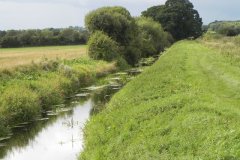27.-Looking-downstream-to-Sharpham-Bridge