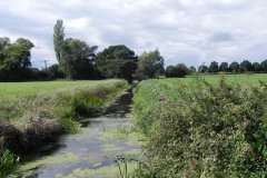 3.-Looking-downstream-to-Press-Moor-Bridge